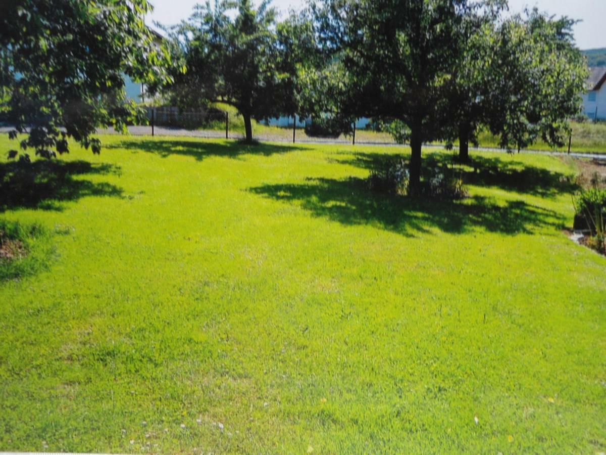 Ferienwohnung Raupe Fritzlar Exterior foto